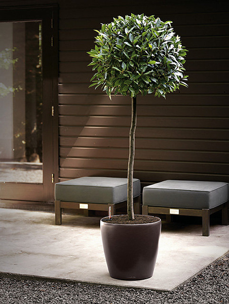 LECHUZA CLASSICO 35/33 donica czerwona z połyskiem scarlet red