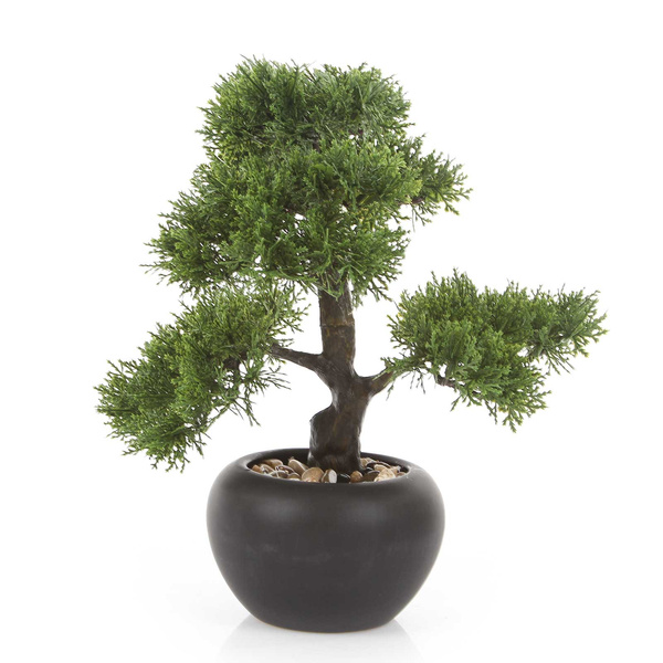 Sztuczne drzewko Bonsai Cedr 37 cm w czarnej doniczce