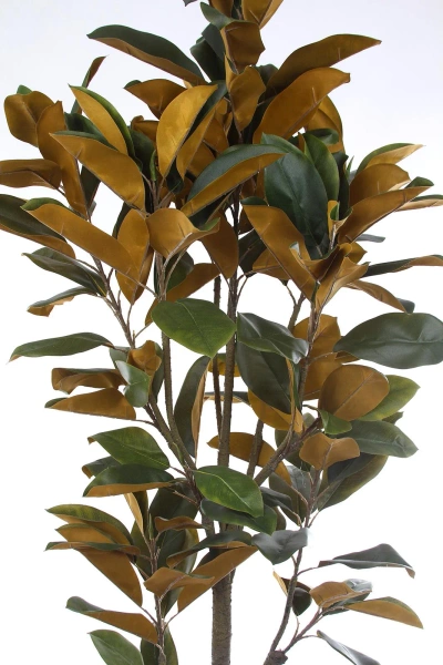 Sztuczna Magnolia Denudata 180 cm