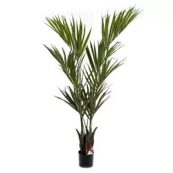 Sztuczna palma Kentia 170 cm wysoka