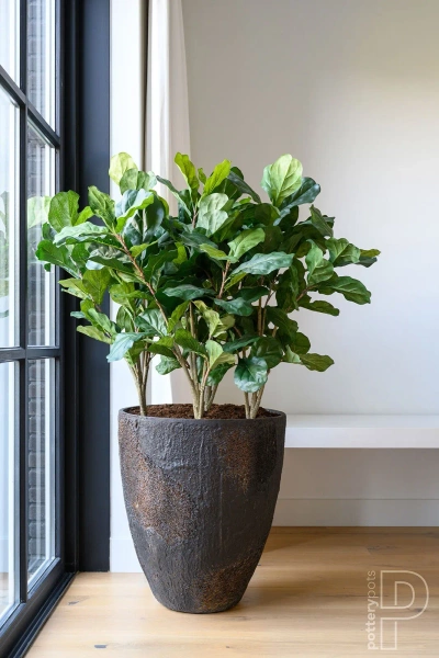 Oliver L 70/83 duża wysoka donica kamienna brązowa ostryga