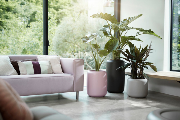 Elho Pure Beads Small 39/35 donica cylindryczna beżowa koralik