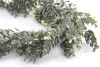 Sztuczna Eukaliptus girlanda pnącze 180 cm szaro-zielony