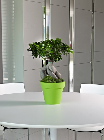 MINI IKON 20/17,5 doniczka z rantem okrągła zielona / green