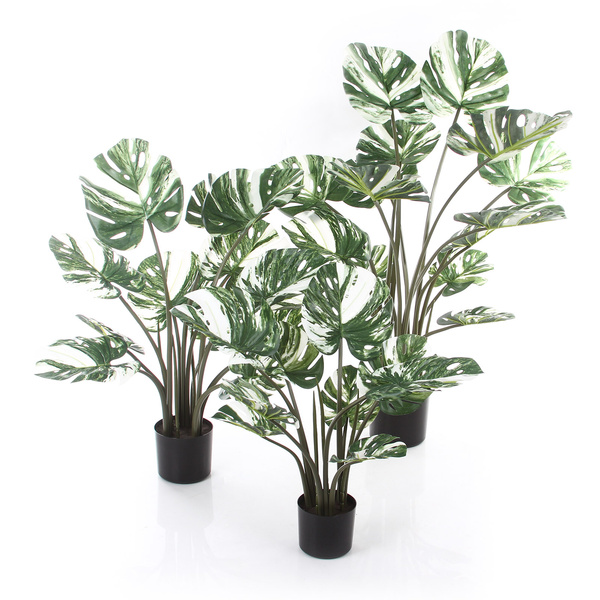 Sztuczna Monstera Variegata dziurawa biała 60 cm