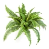 Sztuczna Paprotka Boston 50 cm 26 liści