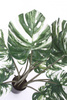 Sztuczna Monstera Variegata dziurawa biało-zielona 90 cm