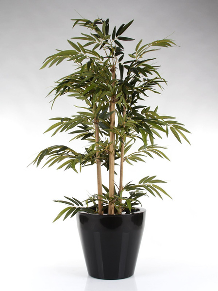 NISCAL 37/34 donica okrągła lakierowana czarna