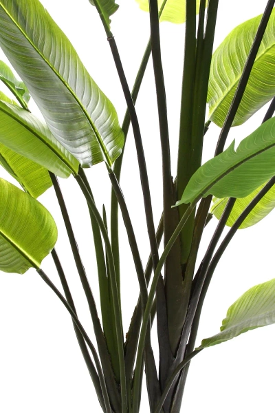 Sztuczna Strelicja nicolai wysoka 235 cm 18 liści