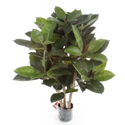 Sztuczny fikus elastica sprężysty 90 cm 135 liści