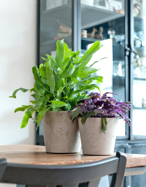 Mini Bucket S 14/12 szara kamienna doniczka