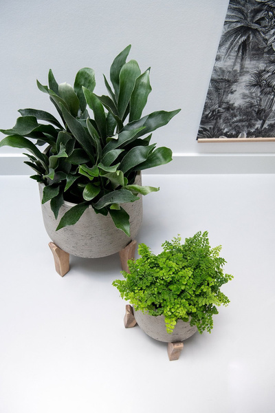 Patt XL 28/29 szara osłonka na niskich nóżkach