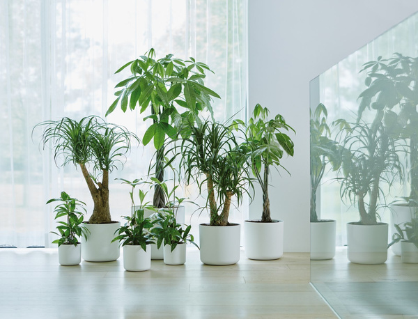 B. For Soft Round 30 cylindryczna doniczka biała