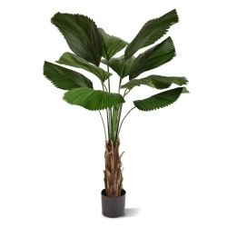 Sztuczna Palma Licuala 140 cm