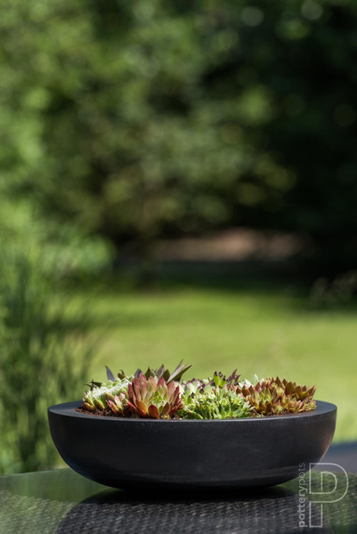 Monique M 34,5/10 czarna niska misa