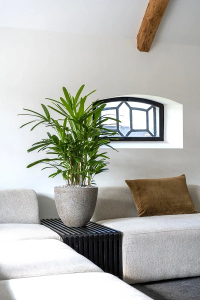 Jesslyn XXS 33/29 szarobrązowa donica do salonu dioriet grey