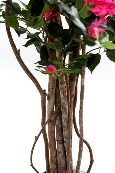 Sztuczna Bugenwilla z różowymi kwiatami 150 cm drewniany pień