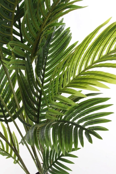 Sztuczna palma Kentia 160 cm
