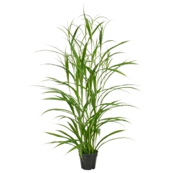 Sztuczna Trawa ozdobna jumbo 130 cm UV