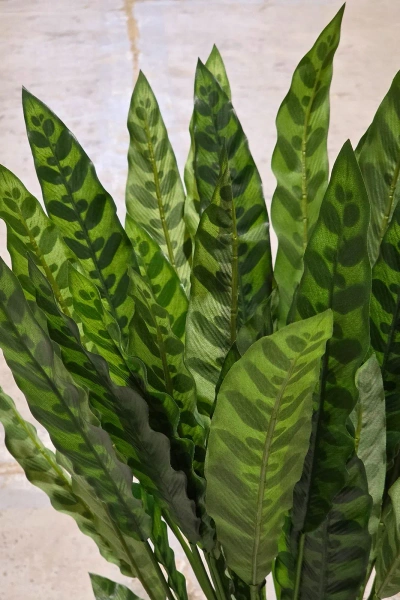 Sztuczna Kalatea lancetolistna 84 cm