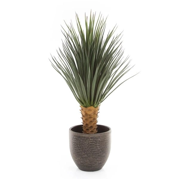 Sztuczna Juka Yucca rostrata 85 cm