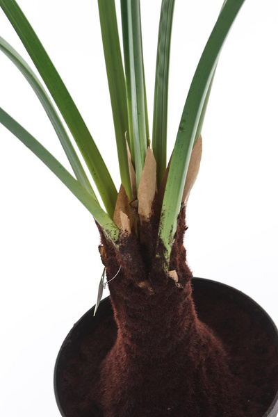 Sztuczna Licuala palma 130 cm duże liście