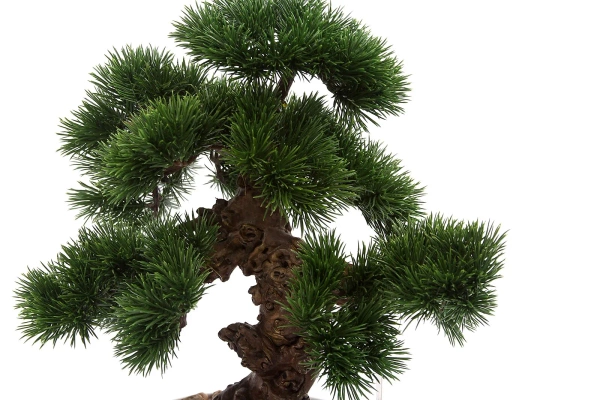 Sztuczne drzewko Bonsai Pinus Sosna 37 cm w białej doniczce