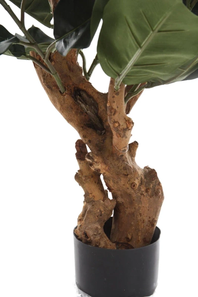 Sztuczny Fikus Elastica Robusta 95 cm na drewnianym pniu