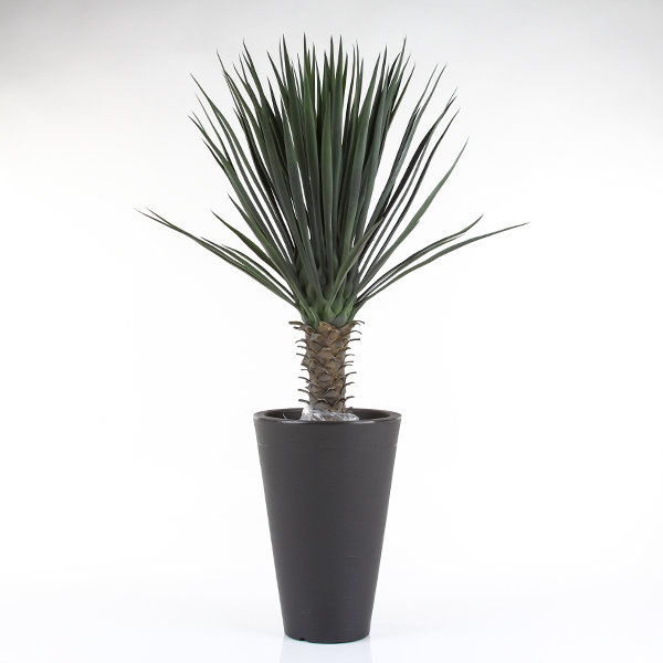 LISCIO SIENA 27/40 doniczka antracytowa