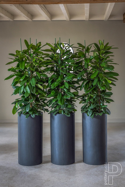 Klax L 40/80 wysoka donica cylindryczna czarna