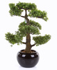 Sztuczne drzewko Bonsai Fikus mini 47 cm w czarnej ceramicznej doniczce