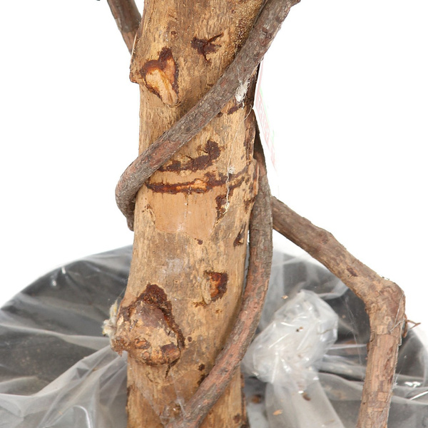 Sztuczne drzewko Fikus Exotica De Luxe 150 cm bardzo gęsty 1705 liści