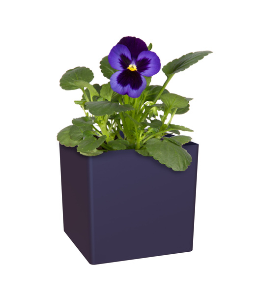 OSLO 22x22/22 doniczka kwadratowa kubik niebieska indigo blue