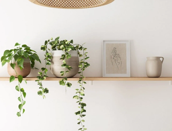 Gaia Jar 17/20 śródziemnomorski dzbanek szary antracytowy