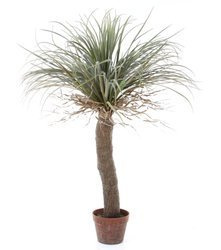 Sztuczna Juka Yucca wild 110 cm