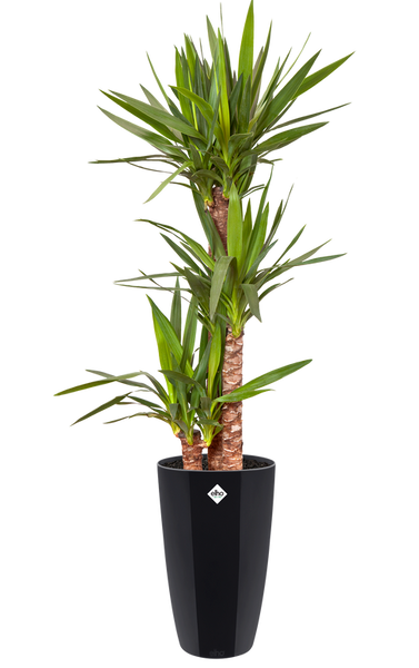 Elbrus Diamond HIGH 46/90 doniczka wysoka czarna metalik połysk