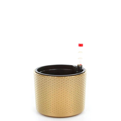 Zestaw do hydroponiki 11/9 Era 12 złota wytłaczana