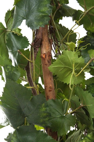 Sztuczne winogrono drzewko 120 cm Premium