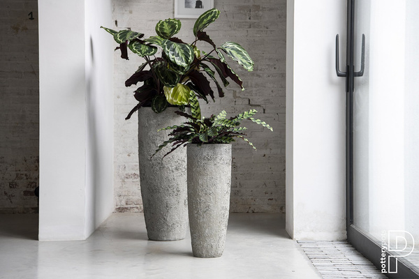 Dax XXL 46/118 bardzo wysoka donica biała imperial white