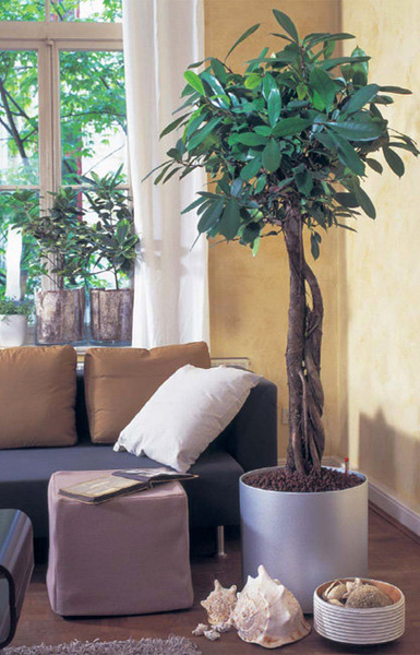 Elegance 37/37 donica cylindryczna srebrna matowa