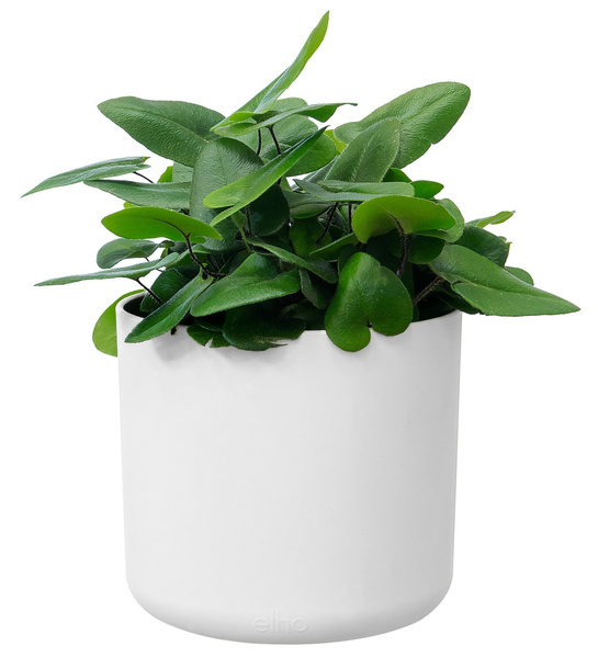 B. For Soft Round 16 cylindryczna osłonka biała