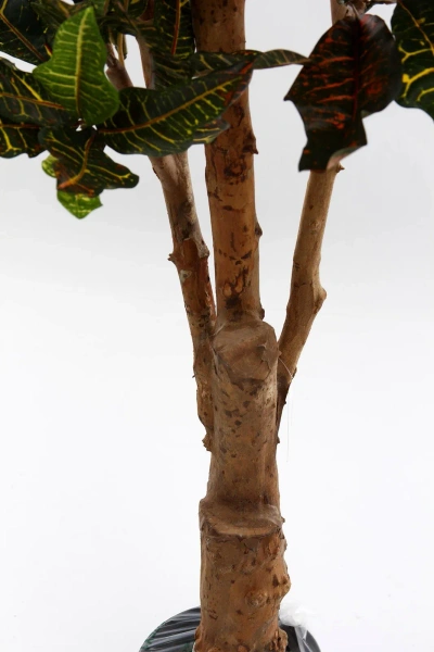 Sztuczny Kroton Bonsai deluxe 175 cm