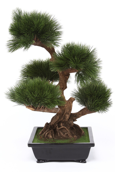 Sztuczne drzewko Bonsai Sosna Pinia 70 cm