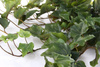 Sztuczny Bluszcz Hedera pnącze 85 cm zielony 191 liści