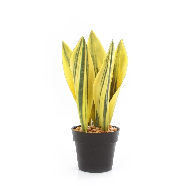 Sztuczna Sansewieria 30 cm żółto-zielona