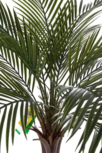 Sztuczna Palma 180 cm do ogrodu i na taras UV Weatherproof