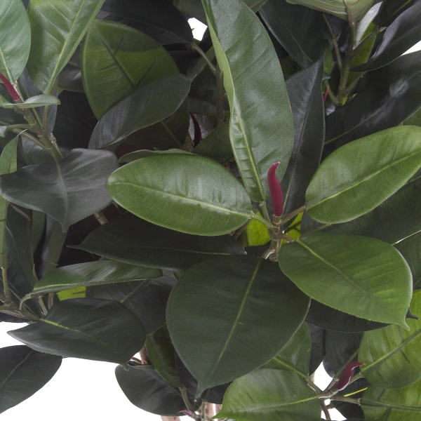 Sztuczny fikus elastica sprężysty 90 cm 135 liści