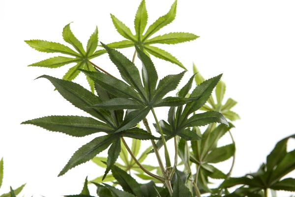 Sztuczny Klon Bonsai 85 cm zielony