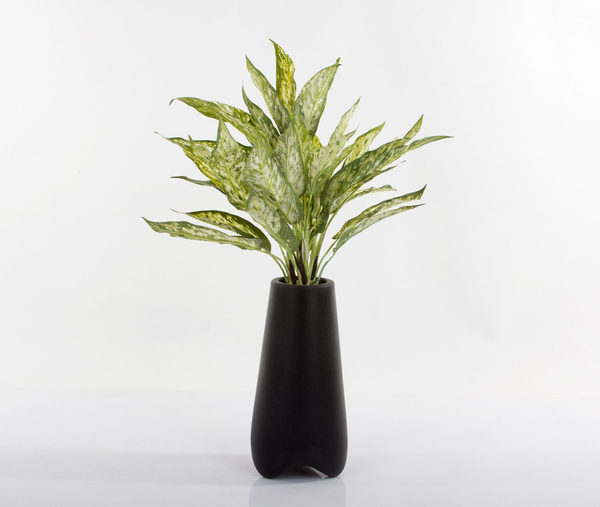 Sztuczna Aglaonema Bush 50 cm