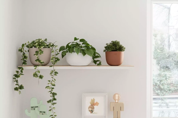 Urania Bowl 30/15 biały ceramiczna osłonka na bonsai